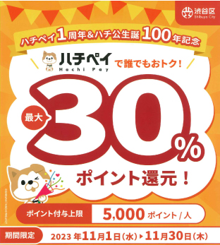 ハチペイ30％還元キャンペーン.jpg